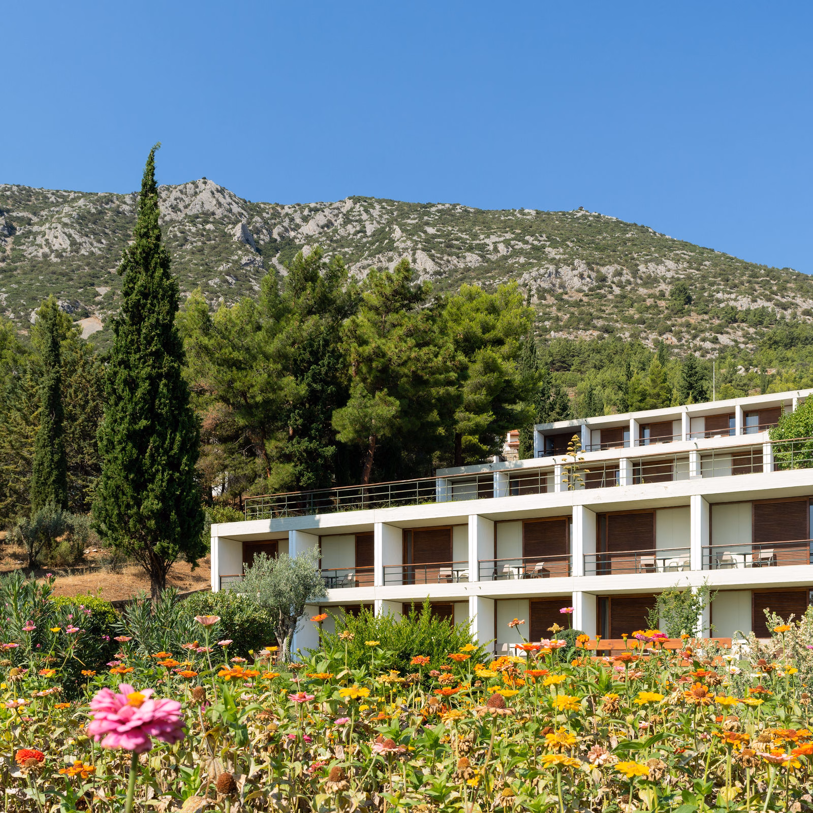 Hotel Amalia en Delfos, fotografía 4